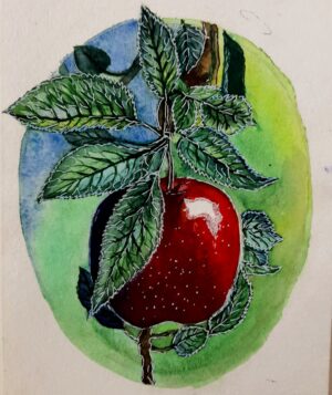 Красное яблочко, 14*21, бумага, акварель, 2022
